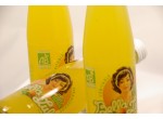 ORANGEADE BELLA BIO 250ML